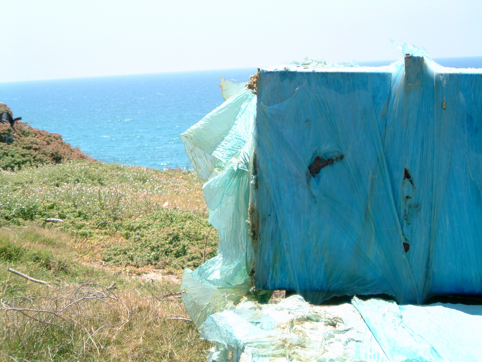 WhatsApp Image 2022-07-26 at 10.19.16 AM (1).jpeg